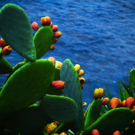 Appartamento European - Town Center Self Check-in *