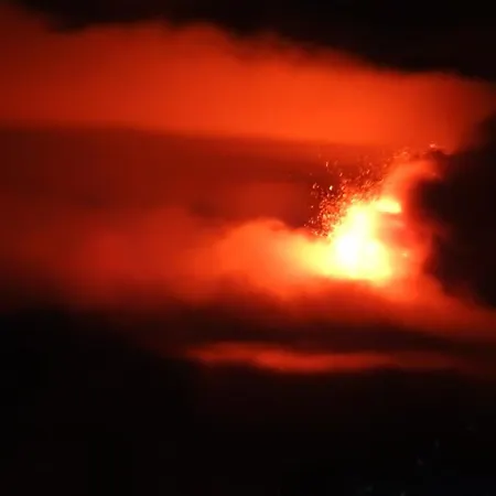 European - Town Center Self Check-in