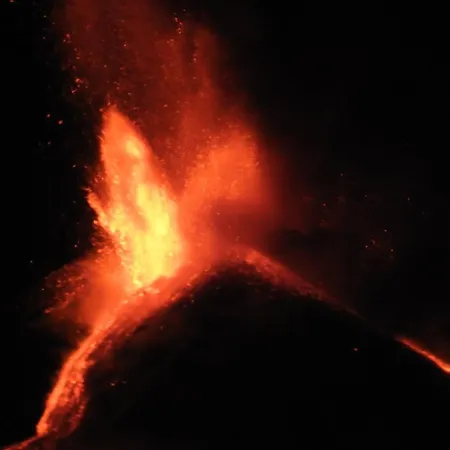 European - Town Center Self Check-in *