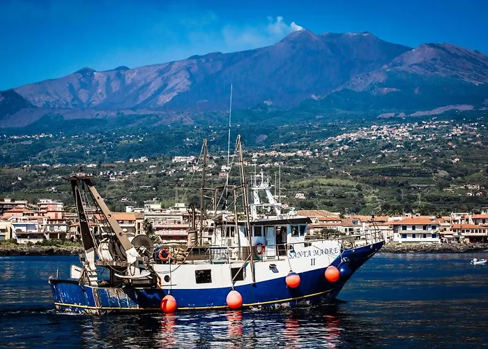 European - Town Center Self Check-in 卡塔尼亚