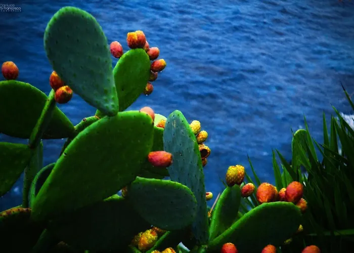 公寓 European - Town Center Self Check-in *