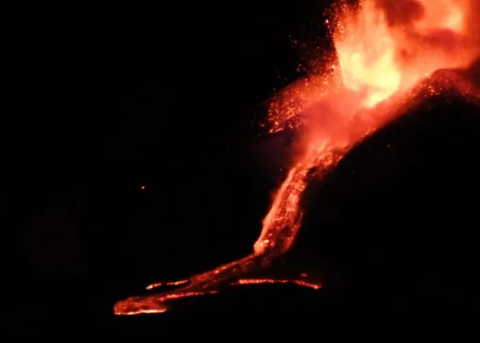 公寓 European - Town Center Self Check-in